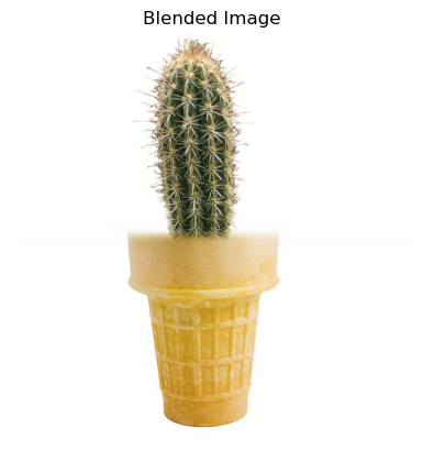 Blended image of a cactus and an ice cream